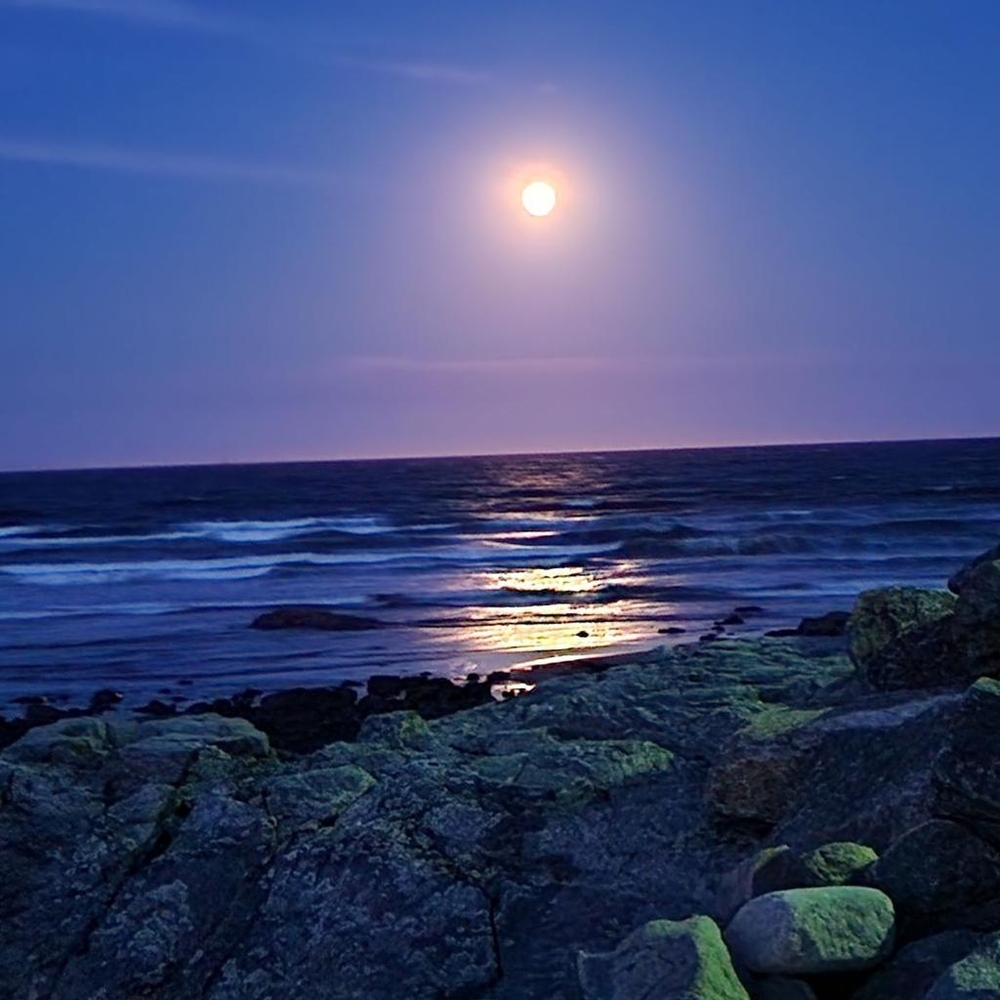 Meet your Posher, Zandy - Picture 15 of 16